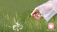 人需要过一种逆流而上的生活，
这种生活尽管艰苦，
但可以打开生命的维度。
真正的生命是流动的，像水一样，
它有无限丰富的精神，是一种体验过程。
——梁永安配图