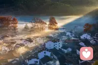 感情有时像养猫，你越步步紧逼，它越躲闪逃离；偶尔投喂，任它来去，反而常伴你膝。松弛，是让爱呼吸的缝隙。配图