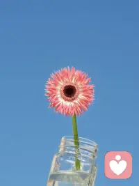 太把一個人當回事兒，對方就容易不把你當回事兒。當你從不忍心拒絕時，對方就會開始怠慢你。漸漸地，我們學會了說“不”。拒絕，不是因為小氣，而是為了證明，我們也可以有放手的能力。——蘇芩配圖