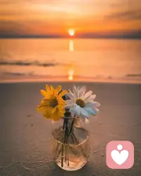 古人早就告訴過我們：“你越怕什么，就會來什么，甚至來得越快。”當我們反過來也是如此——“你越信什么，越會來什么”。如：你相信自己會越來越順，這份信念就會像一束光，能照亮你前行的路，幫你避開絆腳石，甚至把原本的“坎”變成向上的“梯”，這從不是空穴來風的安慰，而是生活里藏著的信的規律配圖