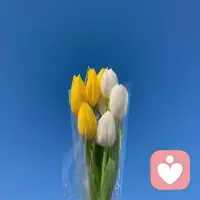 我發(fā)現(xiàn)一個社交規(guī)律：那些急速靠近你的人，總有一天也會以同樣的速度離開你。心浮氣躁時，別急著開口，也別輕易做決定。獨(dú)自靜一靜就好。長大，就是學(xué)會獨(dú)自消化那些難熬的情緒。配圖