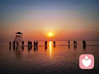 上船不思岸上人，下船不提船上事。
旧人无需知近况，新人不必问过往。
—— 李叔同配图