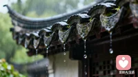 雨停了，屋檐還在滴水，像時光在數著溫柔的節拍。配圖