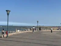 2025年7月29日打卡爱❤️岛