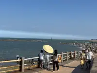 2025年7月29日打卡爱❤️岛