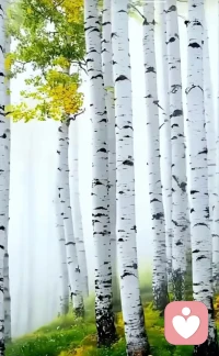 99%的人活得不開心的原因，
是因?yàn)榛钪际菫榱俗约骸?
觀察、評(píng)論別人的過失，
本身就是一種過失。

普通人嘴里說不出一句好聽的話，
高手嘴里說不出一句難聽的話。

別人表?yè)P(yáng)你、贊美你，
是人家的境界和修行，不要太當(dāng)回事。

你鏈接什么，你就在什么能量里。配圖