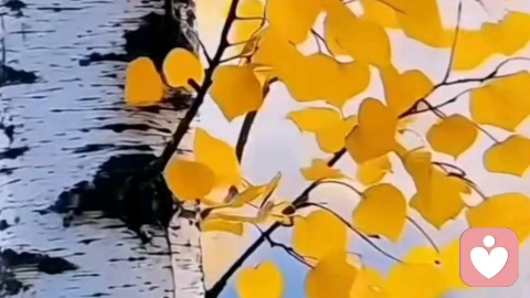什么是良好的两性关系？