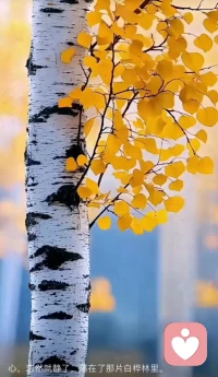 滚出边界   活出自我