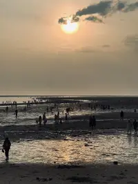 不是所有的魚都生活在同一片海里，人各有不同，無論遇到什么樣的人都不稀奇。無論活成什么樣子，都會有人說三道四，這個世界我們只來一次，看喜歡的風景，做喜歡的事，你不一定非要活成玫瑰，你愿意的話做茉莉做雛菊，做向日葵，做無名小花，做千千萬萬。配圖