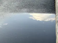 陽光之下，處處有花開，處處有美好。配圖