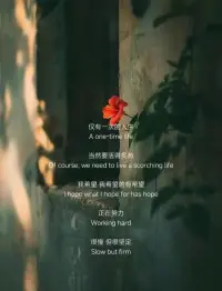 誰年輕時沒有看走眼的時候？
誰沒在十字路口猶豫徘徊過？
誰沒為一段關系或一個選擇傾盡全力卻事與愿違？

有些彎路，注定要親自走一走；有些教訓，非得親身體驗才深刻。
付出真心卻未被珍惜，努力耕耘卻不見收獲，滿懷期待卻迎來失落……

這些“錯過”像一陣涼風，讓人清醒，卻也吹散了不切實際的幻想。可正是這些經歷，讓你看清了生活的真實模樣。 它提醒我們：不是所有耕耘都有收獲，不是所有心愿都能達成。這份小小的遺憾，或許讓人一時失落，卻悄悄為你鋪下了成長的基石。
沒淋過雨，怎知晴天的可貴？沒走過彎路，哪懂直路的踏實？該你經歷的坎坷，都是通往成熟的必經階梯。配圖