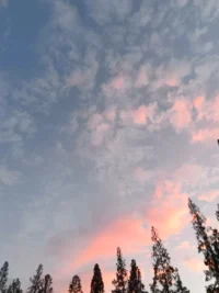 我吹過你吹過的風(fēng)
這算不算相擁
我走過你走過的路
這算不算重逢配圖
