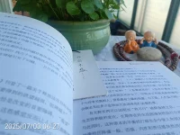 不要寻找答案，而是释放问题背后的感受。