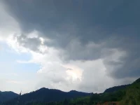 荣格：比起改变，绝大多数人更愿意受苦。