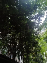 哭吧哭吧不是罪