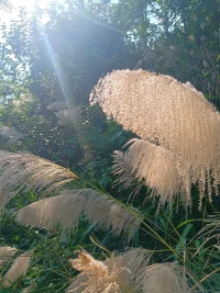 风景总在路上