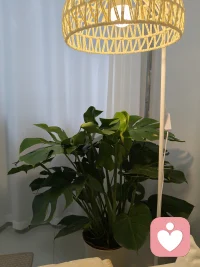 一個人內在的豐富可以抵抗很多外在事物帶來的沖擊。配圖