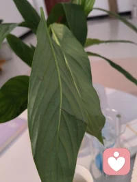 守好邊界，不干涉，也不隨意被干涉。配圖