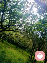 在婚姻当中夫妻双方闹矛盾，冷战，哪怕是要闹着离婚，
另外一方的家长也不要参与把矛盾升级，
比如劝说女方离婚把孩子带身边这样的做法。
女方还没有真正的打算离婚，只是闹一闹，
或者是还没有想好到底要不要离。
娘家就会催促让赶快离婚再好找下一家。
这女方家长是什么原因要这样做呢？无解。
