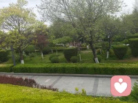 每天坚持运动，会让糟糕的情绪烟消云散，比如自由舞动，瑜伽普拉提，快走，慢跑都是很好的提高能量的方式，不多就半个小时，身体就会很灵活，思维也会特别的活跃清晰。