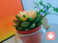 太过唯唯诺诺的女人会给人这样的印象：她宁愿相信男人，也不愿相信自己。在男人看来，这是软弱，不是仁慈。配图