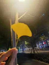 如果給你一個情緒垃圾桶，你最想丟掉哪件事？配圖