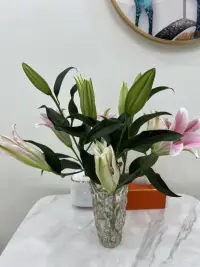 我是暖心的燦燦，有需要的朋友可以來找我！