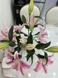 愛情不是尋找共同點，而是學會尊重不同。
