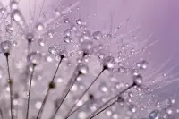 今天和人爭執(zhí)后，突然意識到：我生氣的不是對方的話，而是“他沒按我預(yù)期回應(yīng)”的失控感。原來很多情緒，都藏著對掌控的執(zhí)念！配圖