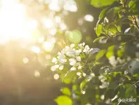 見過太多的人在焦慮里自我攻擊：“我怎么這么沒有用”“這點事情都處理不好”。但請記得，當你在焦慮對抗時，你已經(jīng)很努力了。對自己寬容點，就像對陷入困境的朋友一樣。配圖