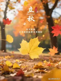 总有人问：“我是不是太脆弱了，才会被这点事困住？”想告诉大家：焦虑不是脆弱的证明，就像感冒不是娇气一样。它只是大脑的警报系统暂时太敏感了，我们可以一起调试它。