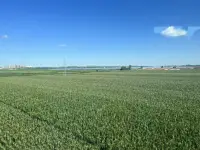 城市中生活太久，心中就會積累太多的情緒，所以，你需要接近自然，吸收天地靈氣，驅走心中的污濁！配圖