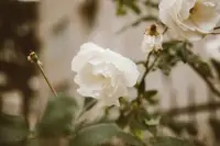 按自己希望的方式生活不叫自私，要求別人按照自己希望的方式生活才叫自私。配圖