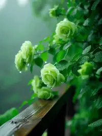 成長就是從前難過的時候油鹽不進，現在能一邊流淚，一邊給自己煮碗面。配圖