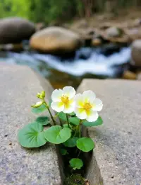 那些不認可你的人，不珍惜你的人，不留戀你的人，不必問為什么，也不必糾結，轉身，是你最明智的選擇！配圖