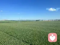 即使全世界都不理解你，你也要相信自己的價(jià)值！配圖