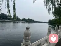 改變能改變的，接受不能改變的，慢慢你會發現，你自己變得強大了！配圖