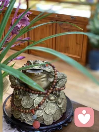 人只有学会了翻篇，才能看的见幸福。配图