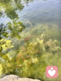 岁月静好，温柔以待！