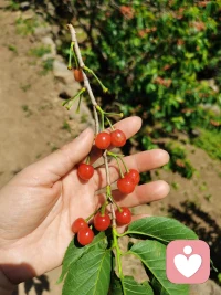 “命运就像一个剧本，我们无法改变它的设定，但可以通过自己的表演，让这个剧本变得更加精彩”  ​​​。配图