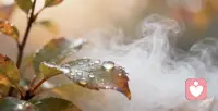 ?? 晨光破云啟新章
?秋露凝香贈歲月

步履從容向朝陽
?心藏山海無懼路

手持微芒即遠方

2025年09月19日，星期五
乙巳年七月二十八
白露第三候第三天

早安