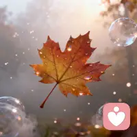 深秋的寒，遇關(guān)切便融成晨霧?? ?
?淡如水的惦念，是舌尖化不開(kāi)的蜜??
?萬(wàn)人星火不如一盞漁火——
?懂你冷暖的眸，是心岸永恒的晴空? ?


2025年10月28日，星期二
乙巳年九月初八
霜降第二候第1天

早安