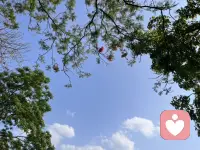 想要拥有一段好的关系，最简单的方法就是做心理营养和进行一致性沟通。
自我包括八个部分——认知、身体、情绪、感官、灵性、互动、营养和情境；
这八个部分每一部分都可以是一座冰山。
（转载）配图