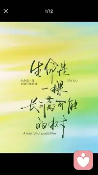 每个生命都自带成长力量与专属人生功课。
我们可以陪伴彼此一程，
却终究无法替任何人走完他的路。
尊重，
便是最深的爱与善意。