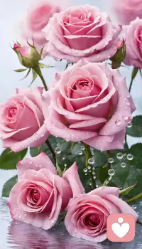 请消除你心中所有的疑虑和恐惧，你唯一的使命是：爱！正念冥想，将帮助你做到如此。配图