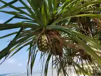 不管相隔遠(yuǎn)近，早看到的是同一個(gè)太陽，晚送走的是同一片月光，只要心中有愛，就能感到溫暖的力量！現(xiàn)在的困難就像烏云，它不會(huì)永遠(yuǎn)遮住陽光。配圖