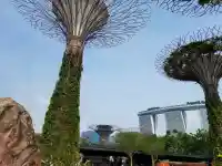 對自己好一點，不是偶爾的奢侈，而是持續滋養生命根基的日常修行。配圖