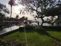 ?心若無求，寧靜自來，日子便成了一首淡雅的詩，簡單且自在。配圖