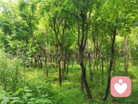 沒有我們的參與，不要做關于我們的決定。（Nothing About Us Without Us）尊重是維系所有健康關系（包括人際、職場、社會）的核心基石。配圖
