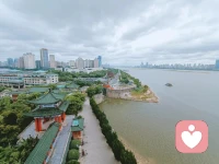 終于學(xué)會在空虛寂寞的時(shí)間里豐富自己的精神生活，找到屬于自己的心靈寄托。配圖